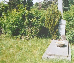 Zentralfriedhof (41 kb)